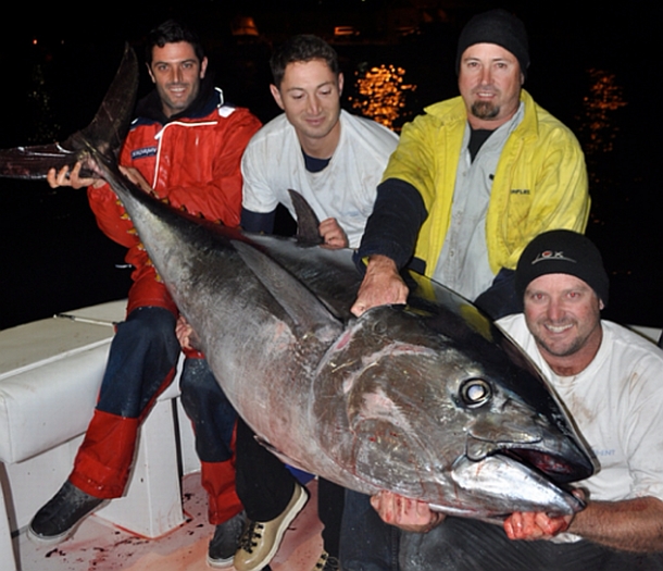 Persistence pays with mega bluefin
